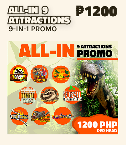 All-in 9 Attractions