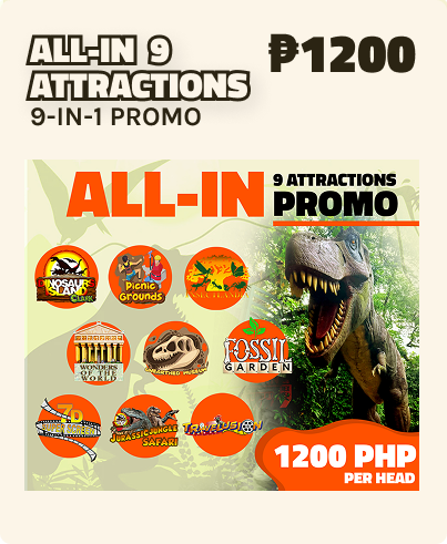 All-in 9 Attractions